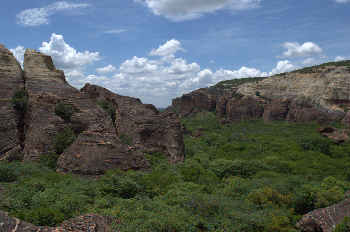 Paredões de arenito e vale verde no Parque Nacional da Serra da Capivara, Piauí.